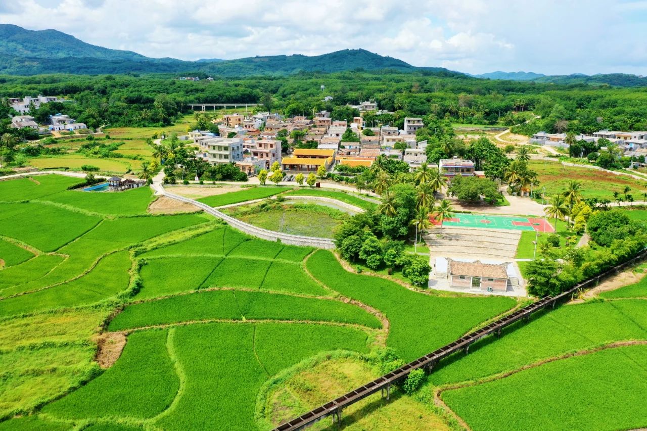 PA旗舰厅(中国区)官方网站-PlayAce