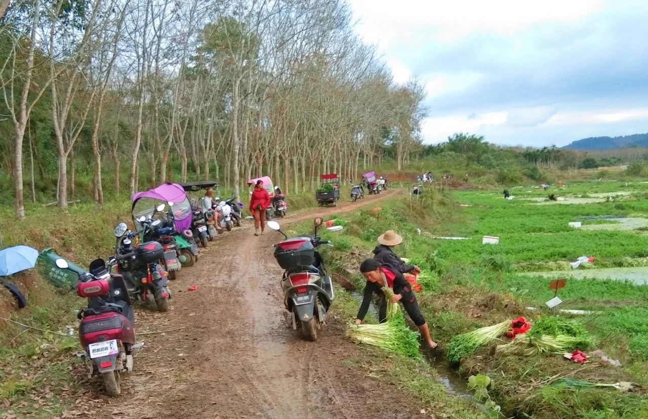 PA旗舰厅(中国区)官方网站-PlayAce