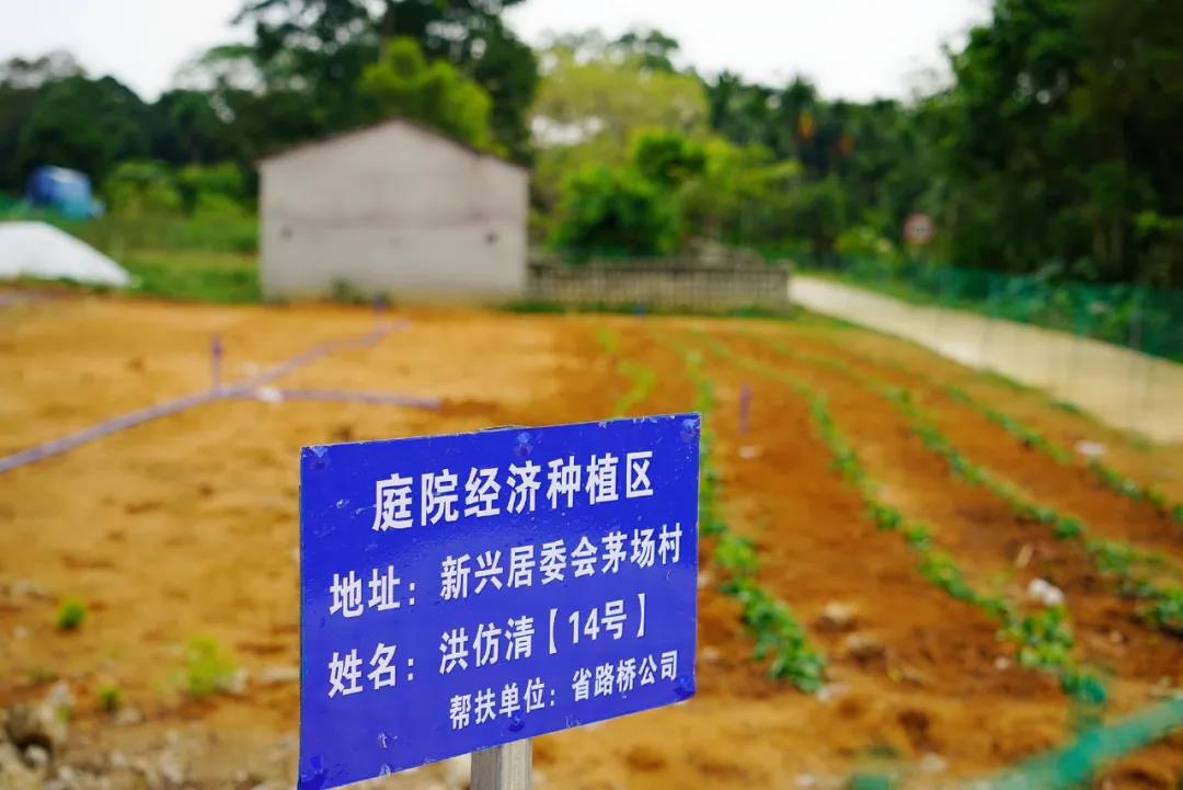 PA旗舰厅(中国区)官方网站-PlayAce