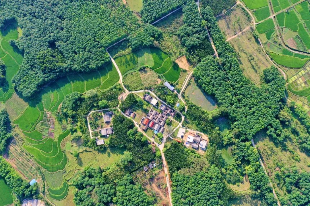 PA旗舰厅(中国区)官方网站-PlayAce