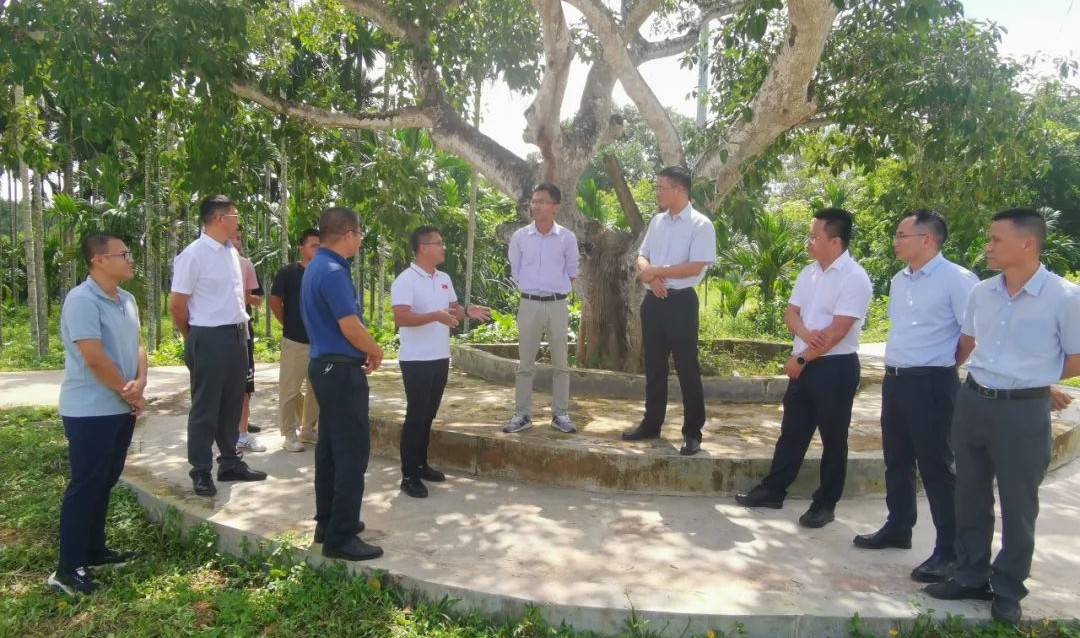 PA旗舰厅(中国区)官方网站-PlayAce