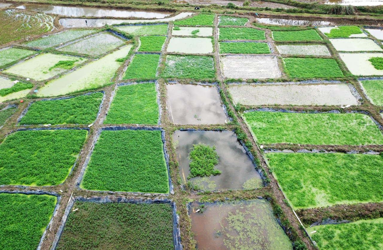 PA旗舰厅(中国区)官方网站-PlayAce